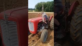 Massey Ferguson 35 at BDVPS Rousham Ploughing Match Sunday 18th August 2024 [upl. by Crescin582]