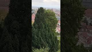 Heidelberg Castle as the embodiment of German romanticism Germany travel nature history [upl. by Cohligan]