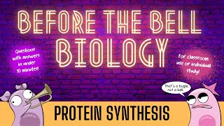 Protein Synthesis Before the Bell Biology [upl. by Aztinaj]