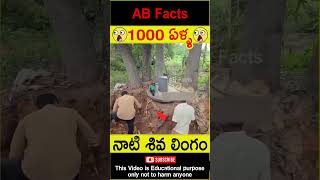 😲1000 ఏళ్ళ😲 1000 years old Siva lingam found in jungle telugufacts shorts youtubeshorts abfacts [upl. by Aenaj666]