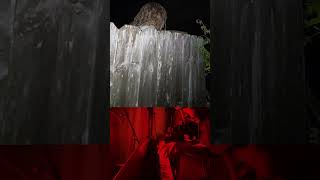 What if this creepy Lady At the Fence TikTok was a horror movie Music by Ryan Somerville [upl. by Cenac]