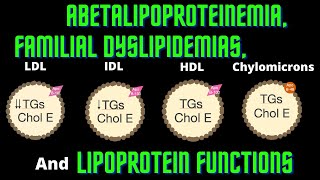 USMLE Step 1 Lesson  75  Lipoprotein Functions Abetalipoproteinemia and Familial Dyslipidemias [upl. by Sharma949]