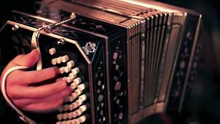 Virtual Tango Bandoneon VST plugin La Cumparsita Harmodion amp Akkordica VST VST3 Audio Unit KONTAKT [upl. by Pare254]