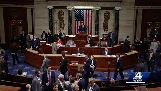 South Carolina Congressmen react to Democrats taking control of the US House [upl. by Root]