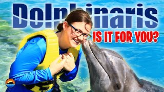 AllInclusive VIP DOLPHIN Encounter  REVIEW Of Dolphinaris Disney Dream Vlog 5 [upl. by Yerocal]