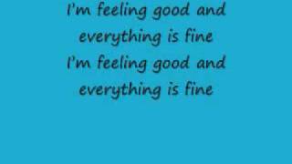 Josh Turner Everything is fine lyrics [upl. by Fregger]