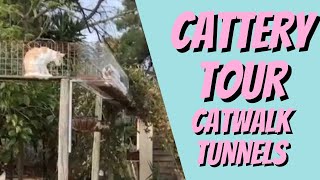 Amazing CATWALK Cattery Tour [upl. by Antonin]