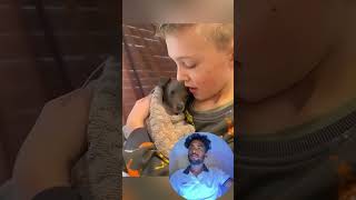 Funny stories about babies and dogs ❤️🥰 pet cat dog cute animals foryou typ [upl. by Atnuahc618]