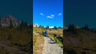 Best place to hike in Mount Rainier USA mountains hiking mountrainier [upl. by Nowyt721]