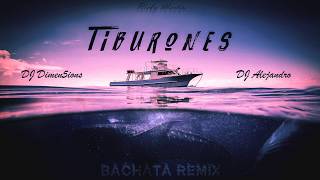 Ricky Martin  Tiburones Dimen5ions amp DJ Alejandro Bachata Remix [upl. by Jaban]