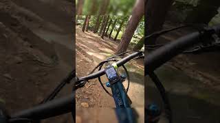 Ebike dirt jumps in the woods [upl. by Galitea]