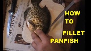 HOW TO FILLET CRAPPIE amp BLUEGILL [upl. by Gabrielle544]