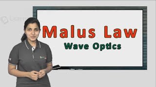 Simple explanation of Malus Law with a solved example JEE Physics XII Wave Optics [upl. by Ekyt]