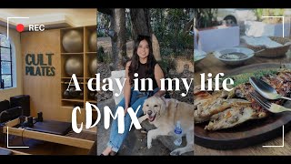 Mexico City Vlog Day 2 [upl. by Oinimreh750]