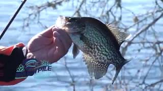 Crappie Fishing the St Johns River  Russ Bailey and Matthew Outlaw [upl. by Frankel155]