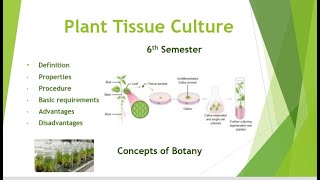 Plant Tissue Culture Technique Procedure and Application HindiUrdu Concepts of Botany [upl. by Aldora349]