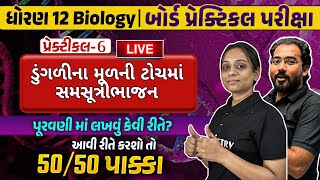 Biology Practical Exam 2024  Practical 6  ડુંગળીના મૂળની ટોચમાં સમસુત્રીભાજન PracticalExam2024 [upl. by Ahgiel]