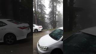 Rain weather at ayubia Pakistan nature ayubia pakistan rain shortvideo shorts naturalbeauty [upl. by Salahcin]