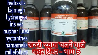 most useful mother tincture  6 hamamelis q nuphar lutea q kalmegh q hydrastis q nyctanthes q [upl. by Nolyaw]