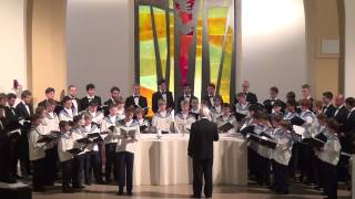 Laudate Dominum  Zürcher Sängerknaben Zurich Boys Choir [upl. by Peacock]