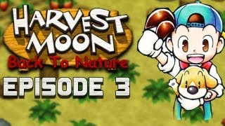 Harvest Moon  Memory Card Fail  Back to Nature EP3 [upl. by Adigun]