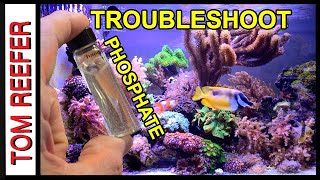 Reef Tank  TROUBLESHOOTING YOUR PHOSPHATE  To Low To High TIPS [upl. by Copp]