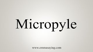 How To Say Micropyle [upl. by Harbed]