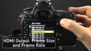 Atomos Shogun Nikon D610 Setup Guide [upl. by Viola]