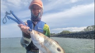 Weekly Fishing Report 7th November 2024 [upl. by Llenyaj]