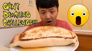 The GIANT Dumpling Gyoza Challenge amp WHAT HAPPENED AFTER in Tokyo Japan  Reupload [upl. by Conall431]