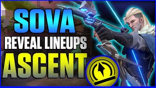 BEST SOVA REVEAL LINEUPS FOR ASCENT [upl. by Rialb833]