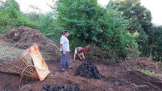 our farming in the village  taking manure to farm field  bhumivillagevlogs [upl. by Drus338]