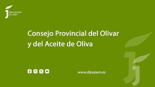 Rueda de prensa previa a la celebración del Consejo Provincial del Olivar y del Aceite de Oliva [upl. by Llennhoj]