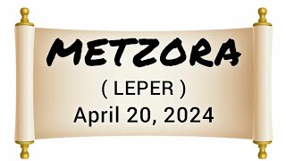 LISTEN TO Weekly Torah Portion 4202024METZORALEPERTORAHPROPHETSGOSPEL [upl. by Nivled]