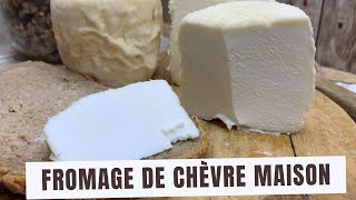 Comment fabriquer un fromage de chèvre frais maison  lait de chèvre  sans vinaigre ni citron [upl. by Atteuqnas]