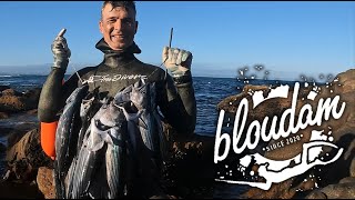 AMAZING SPEARFISHING SHARKS SUSHI CATCH COOK  ALL IN ONE VIDEO [upl. by Alyar]