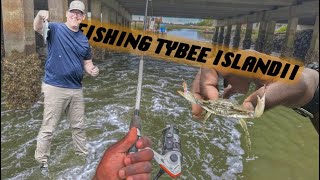 FISHING TYBEE Island South Georgia Short Video 4K [upl. by Brendis]