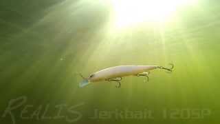 DUOs Lures in Motion 13 Realis Jerkbait 120SP [upl. by Barnard967]