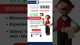 Dubai Work Visa  Dubai Work Permit dubaivisa workpermit migratenation shortsviral [upl. by Sauer]