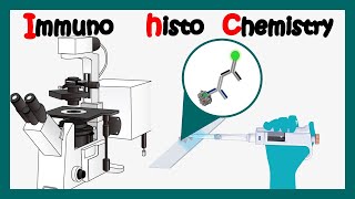 Immunohistochemistry  How to perform immunohistochemistry  application of immunohistochemistry [upl. by Keefer]