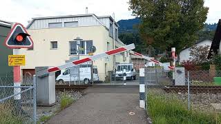 Bahnübergang Freienbach CH  Swiss Railroad Crossing [upl. by Ennahteb803]