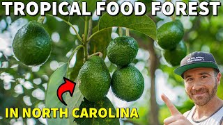 You Wont Believe This TROPICAL FOOD FOREST Growing In North Carolina [upl. by Thera366]