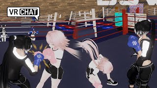 Tough training fight VRchat [upl. by Esille]