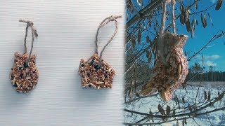 DIY Winter Bird Feeders  How to Make “Bird Cookies” [upl. by Noloc479]