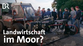 Landwirtschaft auf nassen Moorwiesen Zwischen Spezialmaschinen und robusten Rinden  UNKRAUT  BR [upl. by Jari]