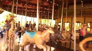 Carousel riding at the Houston Zoo  2014 [upl. by Akinuahs114]