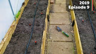 Setting up the polytunnel drip irrigation and planting in the raised beds 2019E09 Garden Updates [upl. by Atwekk775]