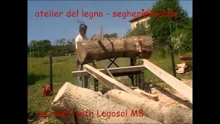 segheria mobile mobile sawmill [upl. by Lurline653]