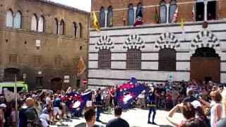 Défilé de la contrade quotnicchioquot Palio de Sienne 2011 [upl. by Yrrok358]