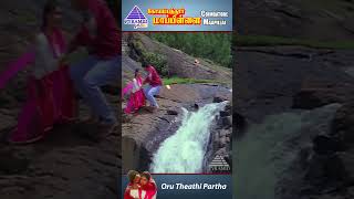 Oru Theithi Video Song  Coimbatore Mappillai Movie Songs  Vijay  Shangavi  YTShorts [upl. by Ayatan]